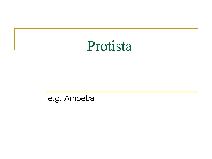 Protista e. g. Amoeba 