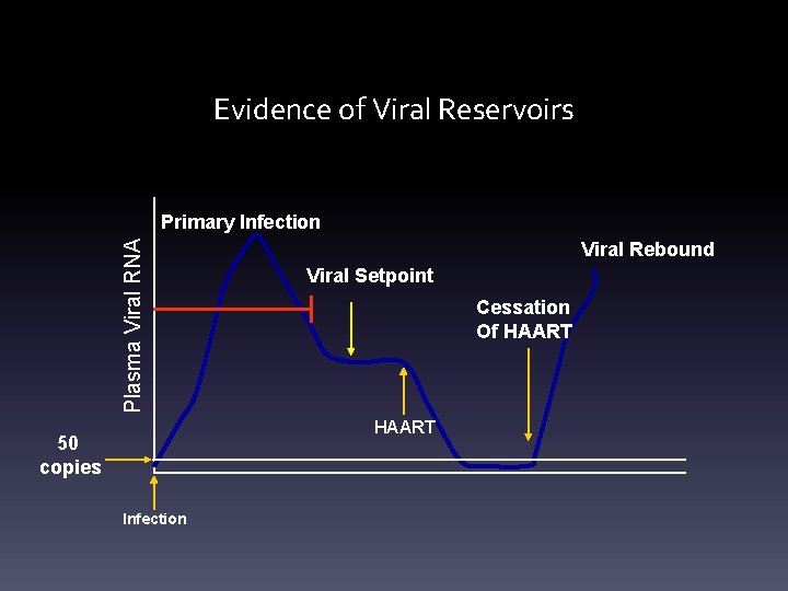Evidence of Viral Reservoirs Plasma Viral RNA Primary Infection Viral Rebound Viral Setpoint Cessation