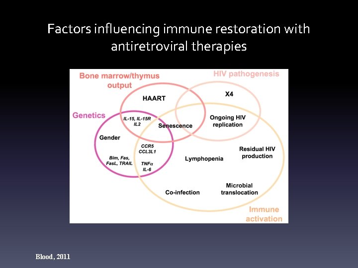 Factors influencing immune restoration with antiretroviral therapies Blood, 2011 