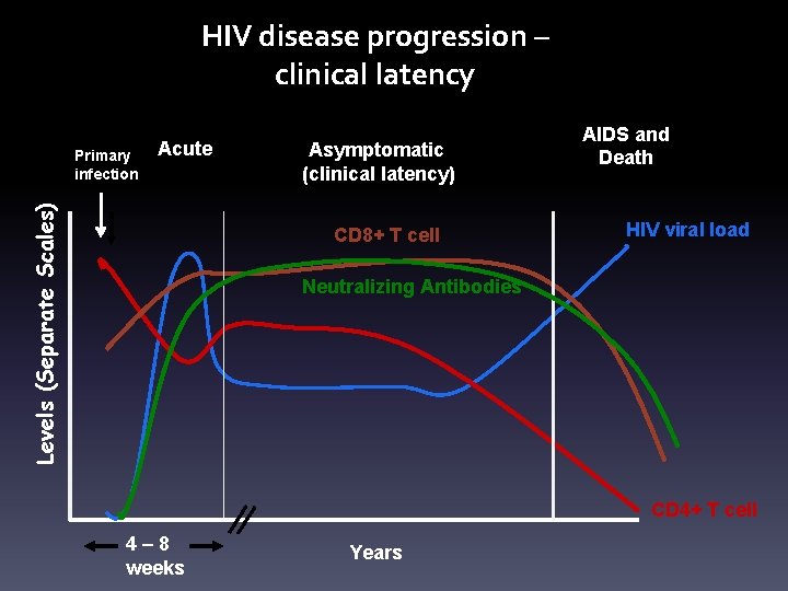 HIV disease progression – clinical latency Levels (Separate Scales) Primary infection Acute Asymptomatic (clinical