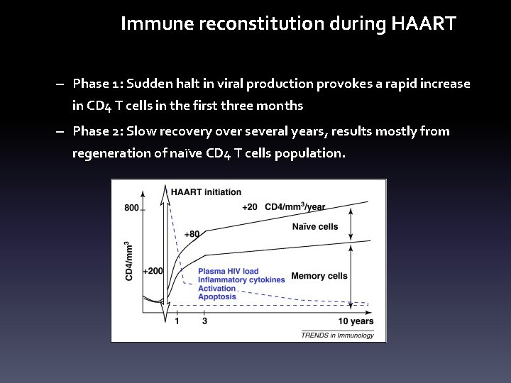 Immune reconstitution during HAART – Phase 1: Sudden halt in viral production provokes a