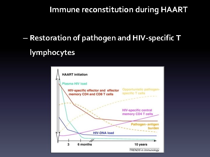 Immune reconstitution during HAART – Restoration of pathogen and HIV-specific T lymphocytes 