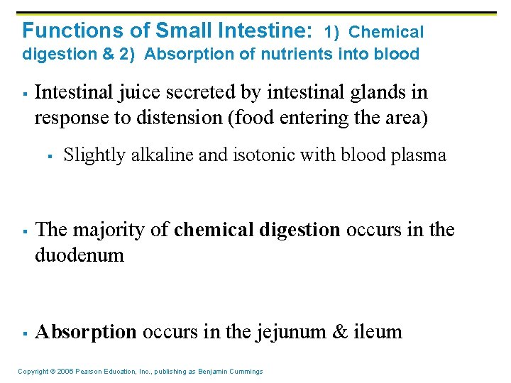 Functions of Small Intestine: 1) Chemical digestion & 2) Absorption of nutrients into blood