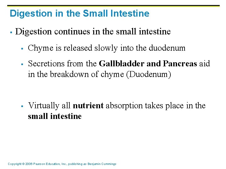 Digestion in the Small Intestine § Digestion continues in the small intestine § §
