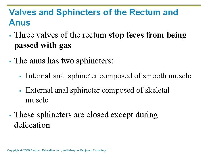 Valves and Sphincters of the Rectum and Anus § Three valves of the rectum
