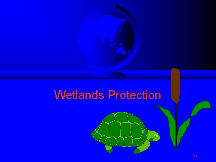 Wetlands Protection 46 