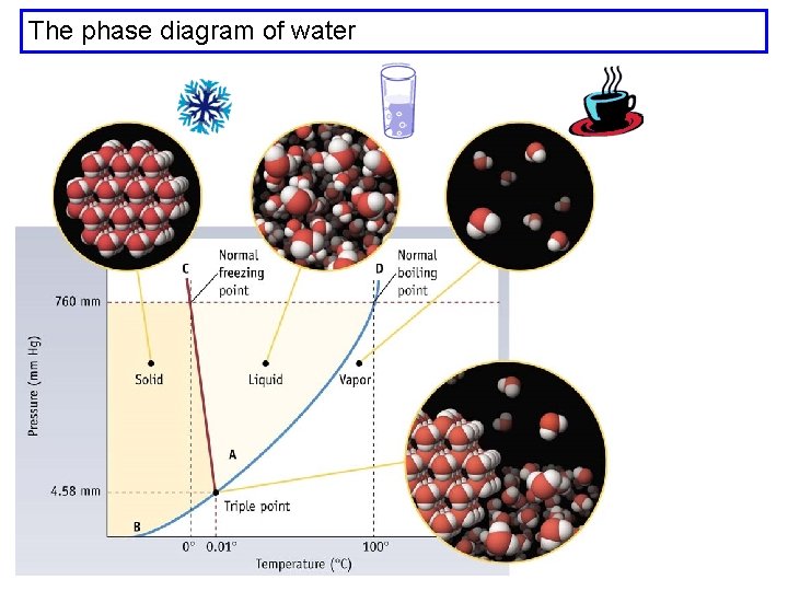 The phase diagram of water 