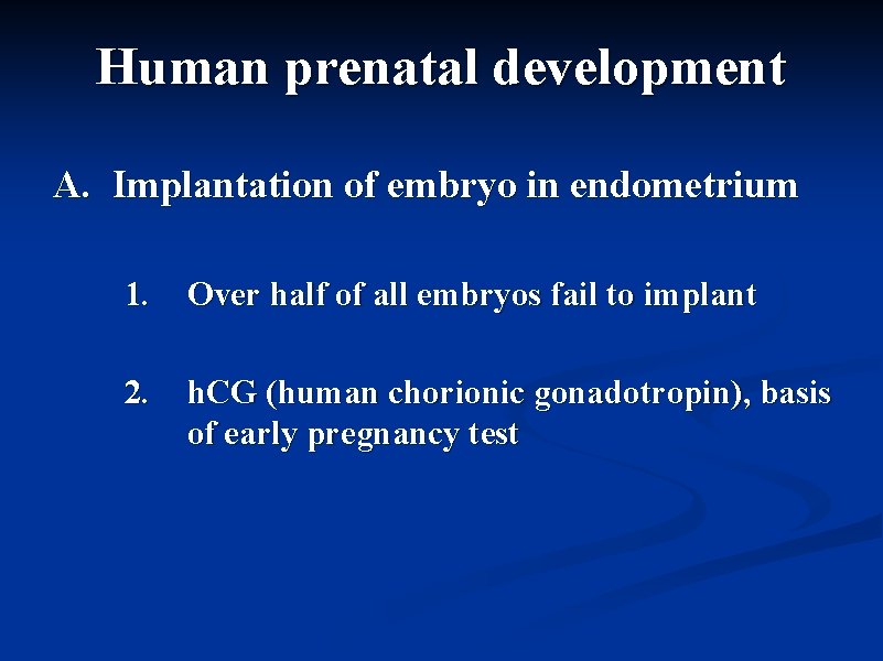 Human prenatal development A. Implantation of embryo in endometrium 1. Over half of all