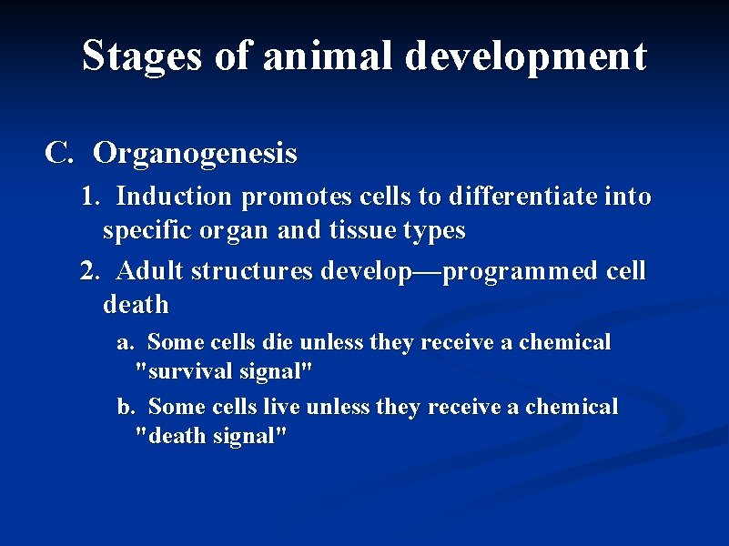 Stages of animal development C. Organogenesis 1. Induction promotes cells to differentiate into specific