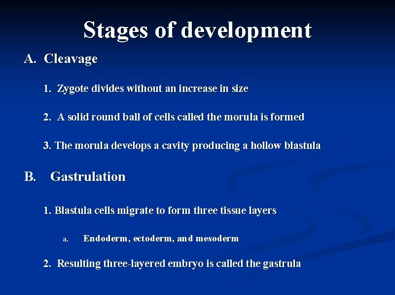 Stages of development A. Cleavage 1. Zygote divides without an increase in size 2.