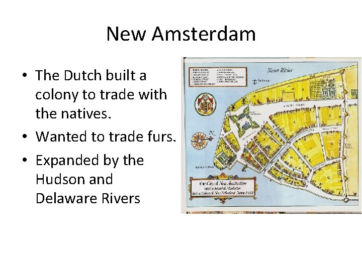 New Amsterdam • The Dutch built a colony to trade with the natives. •