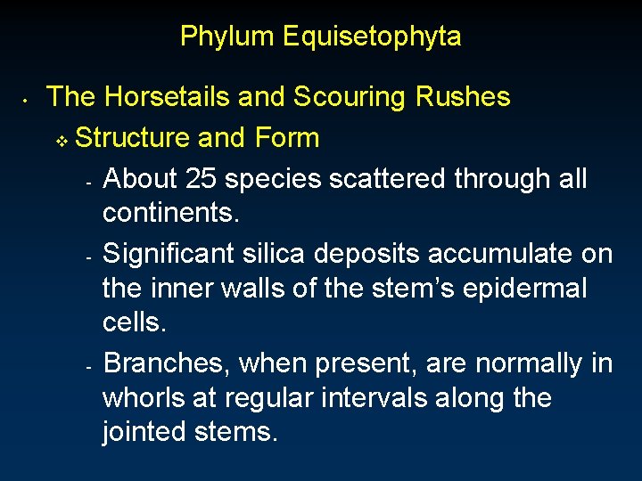 Phylum Equisetophyta • The Horsetails and Scouring Rushes v Structure and Form - About