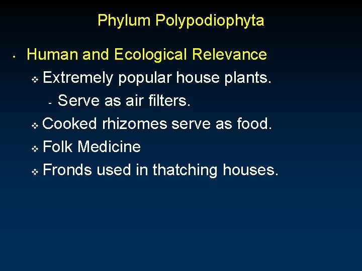Phylum Polypodiophyta • Human and Ecological Relevance v Extremely popular house plants. - Serve