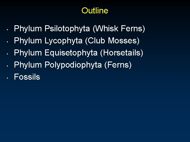 Outline • • • Phylum Psilotophyta (Whisk Ferns) Phylum Lycophyta (Club Mosses) Phylum Equisetophyta
