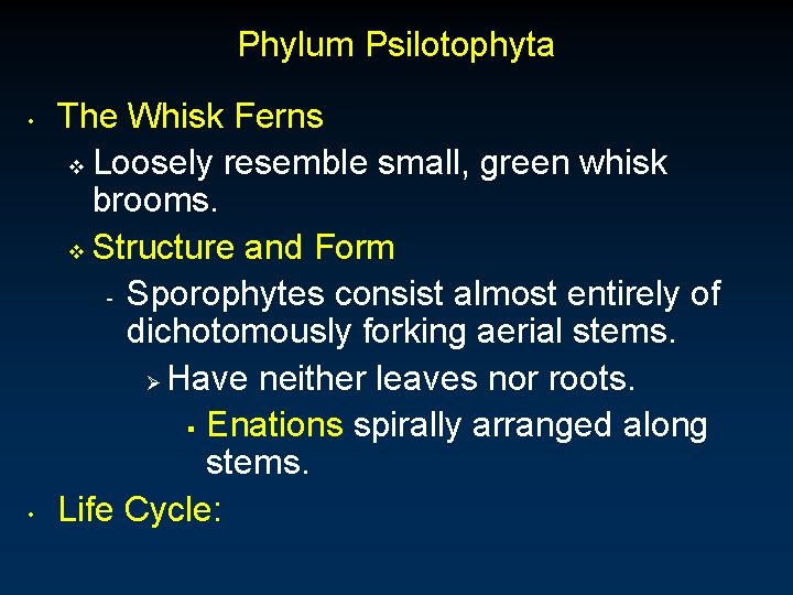 Phylum Psilotophyta • • The Whisk Ferns v Loosely resemble small, green whisk brooms.
