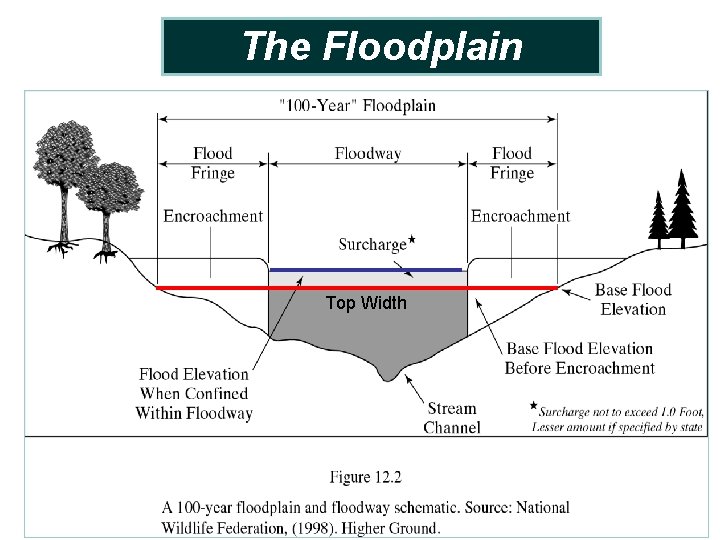 The Floodplain Top Width 