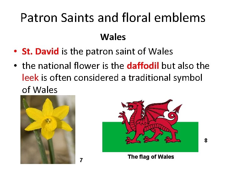 Patron Saints and floral emblems Wales • St. David is the patron saint of Patron Saints and floral emblems Wales • St. David is the patron saint of