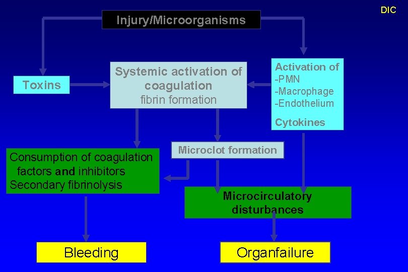 DIC Injury/Microorganisms Toxins Systemic activation of coagulation fibrin formation Activation of -PMN -Macrophage -Endothelium