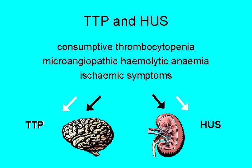 TTP and HUS consumptive thrombocytopenia microangiopathic haemolytic anaemia ischaemic symptoms TTP HUS 