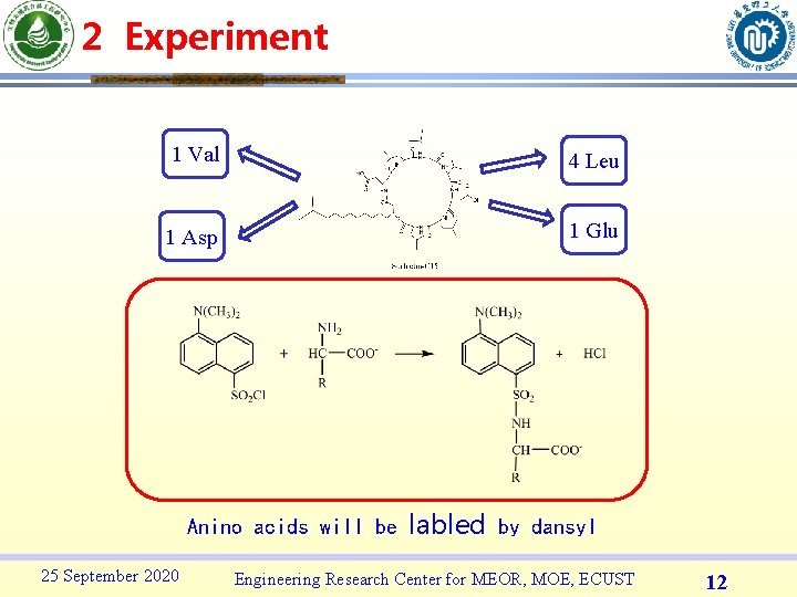 2 Experiment 1 Val 4 Leu 1 Asp 1 Glu Anino acids will be
