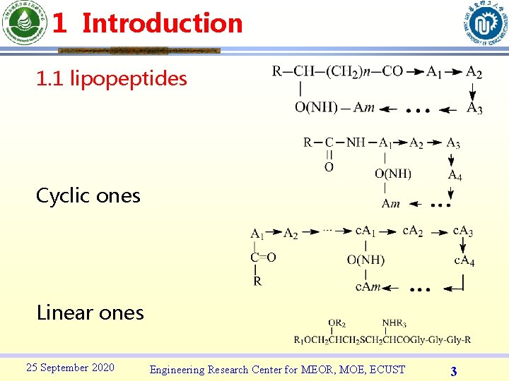 1 Introduction 1. 1 lipopeptides Cyclic ones Linear ones 25 September 2020 Engineering Research