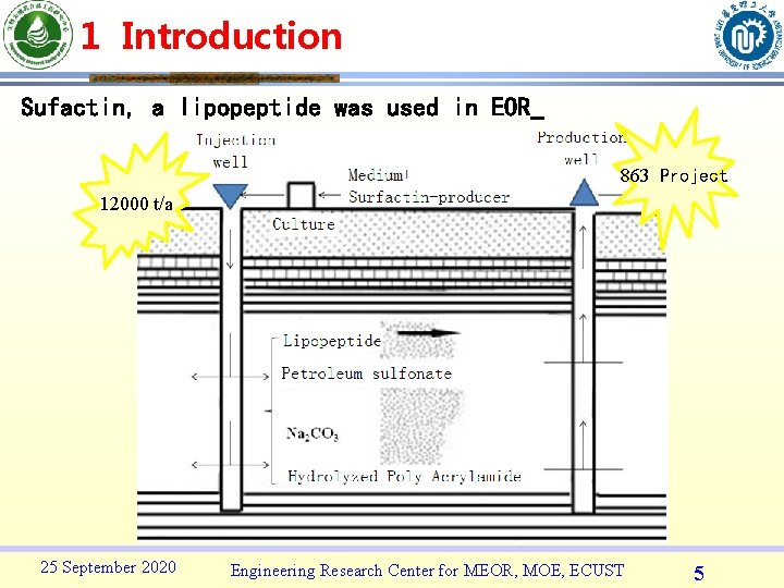 1 Introduction Sufactin, a lipopeptide was used in EOR 863 Project 12000 t/a 25