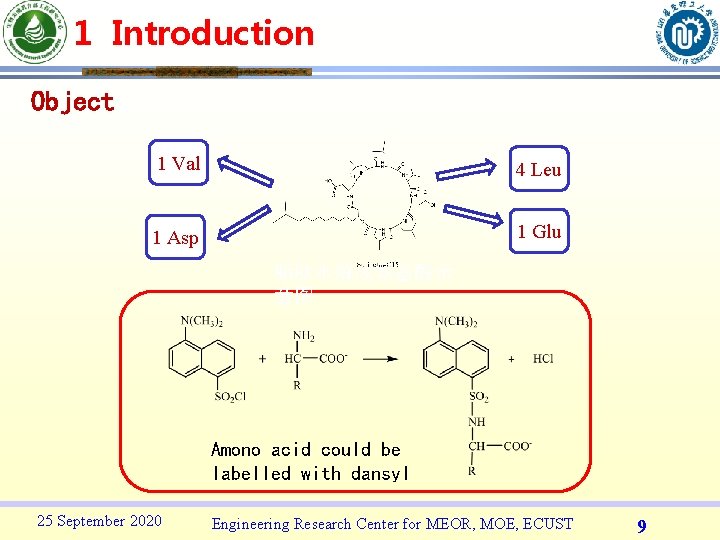 1 Introduction Object 1 Val 4 Leu 1 Asp 1 Glu 脂肽水解成氨基酸示 意图 Amono