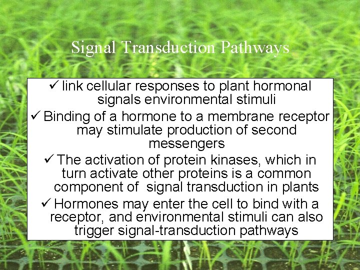 Signal Transduction Pathways ü link cellular responses to plant hormonal signals environmental stimuli ü Signal Transduction Pathways ü link cellular responses to plant hormonal signals environmental stimuli ü