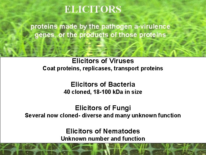 ELICITORS proteins made by the pathogen a-virulence genes, or the products of those proteins ELICITORS proteins made by the pathogen a-virulence genes, or the products of those proteins