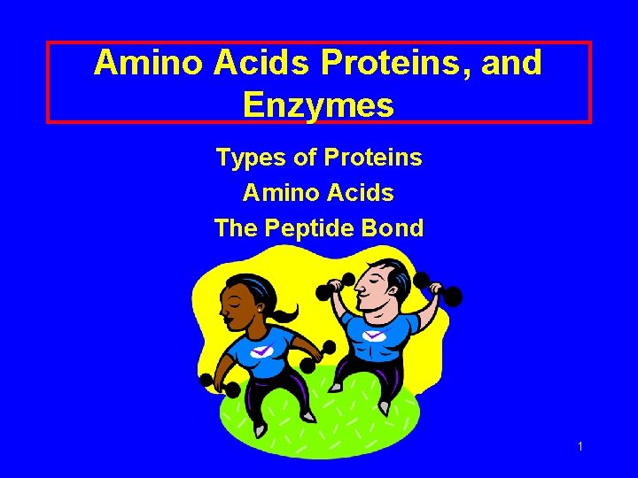 Amino Acids Proteins, and Enzymes Types of Proteins Amino Acids The Peptide Bond 1