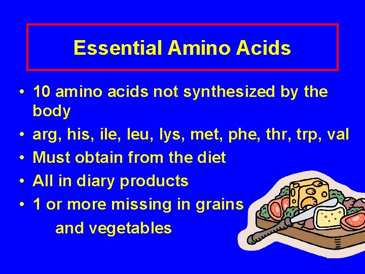 Essential Amino Acids • 10 amino acids not synthesized by the body • arg,