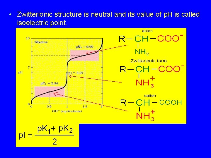  • Zwitterionic structure is neutral and its value of p. H is called