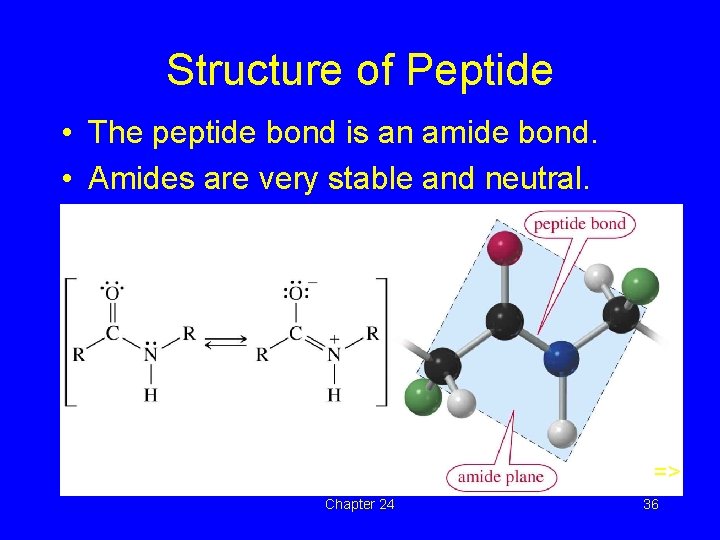 Structure of Peptide • The peptide bond is an amide bond. • Amides are