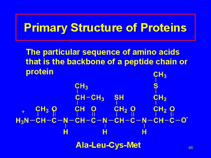 Primary Structure of Proteins The particular sequence of amino acids that is the backbone