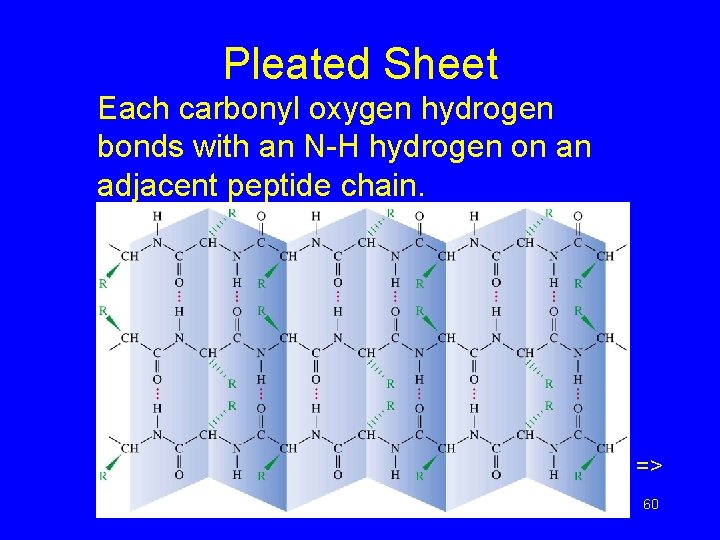 Pleated Sheet Each carbonyl oxygen hydrogen bonds with an N-H hydrogen on an adjacent