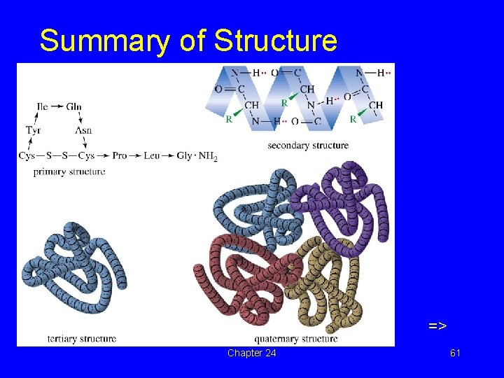 Summary of Structure => Chapter 24 61 