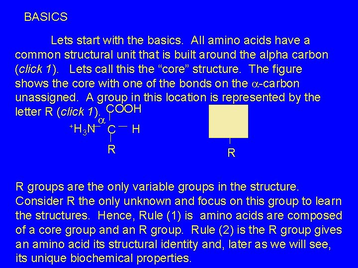 BASICS Lets start with the basics. All amino acids have a common structural unit