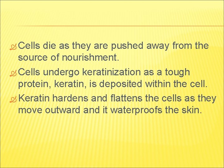 Cells die as they are pushed away from the source of nourishment. Cells Cells die as they are pushed away from the source of nourishment. Cells
