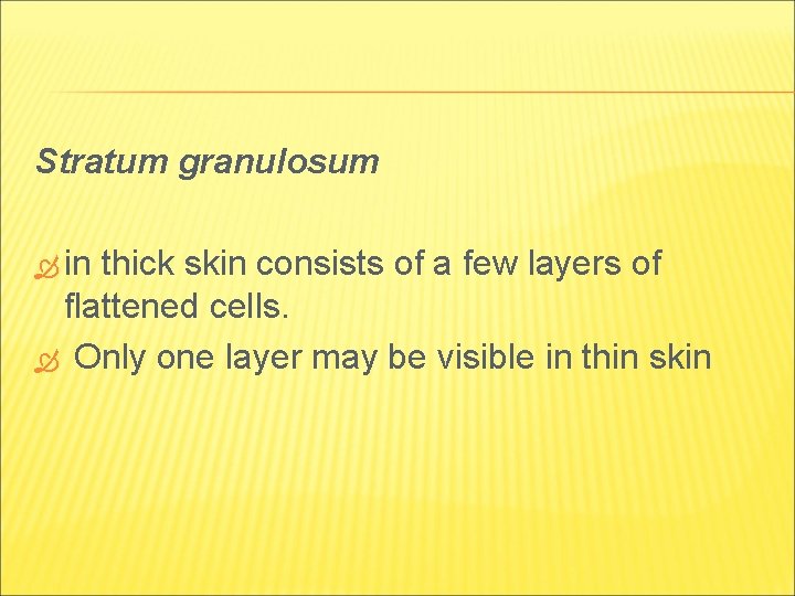 Stratum granulosum in thick skin consists of a few layers of flattened cells. Only