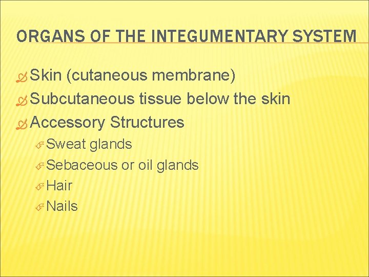 ORGANS OF THE INTEGUMENTARY SYSTEM Skin (cutaneous membrane) Subcutaneous tissue below the skin Accessory