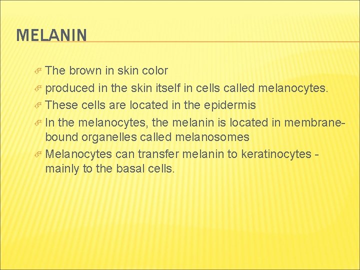 MELANIN The brown in skin color produced in the skin itself in cells called