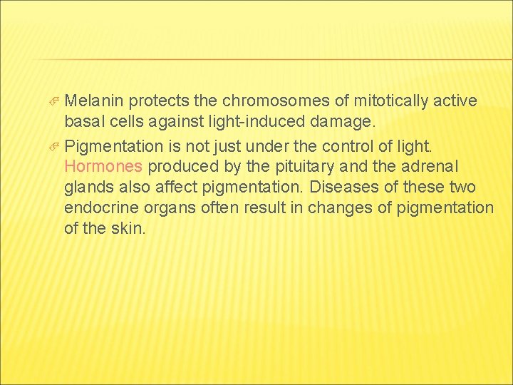  Melanin protects the chromosomes of mitotically active basal cells against light-induced damage. Pigmentation