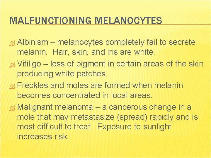 MALFUNCTIONING MELANOCYTES Albinism – melanocytes completely fail to secrete melanin. Hair, skin, and iris