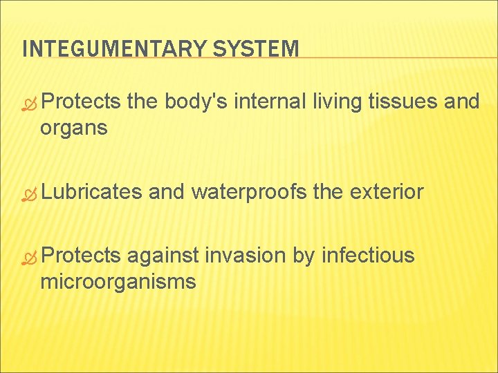 INTEGUMENTARY SYSTEM Protects the body's internal living tissues and organs Lubricates and waterproofs the INTEGUMENTARY SYSTEM Protects the body's internal living tissues and organs Lubricates and waterproofs the