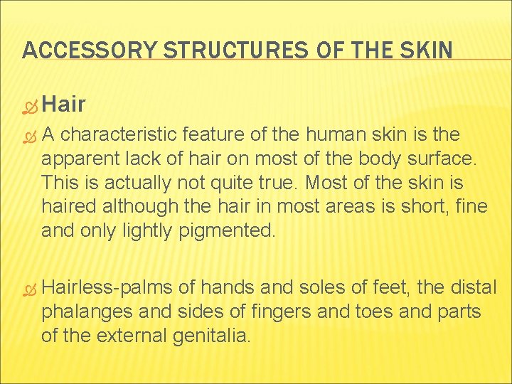 ACCESSORY STRUCTURES OF THE SKIN Hair A characteristic feature of the human skin is ACCESSORY STRUCTURES OF THE SKIN Hair A characteristic feature of the human skin is