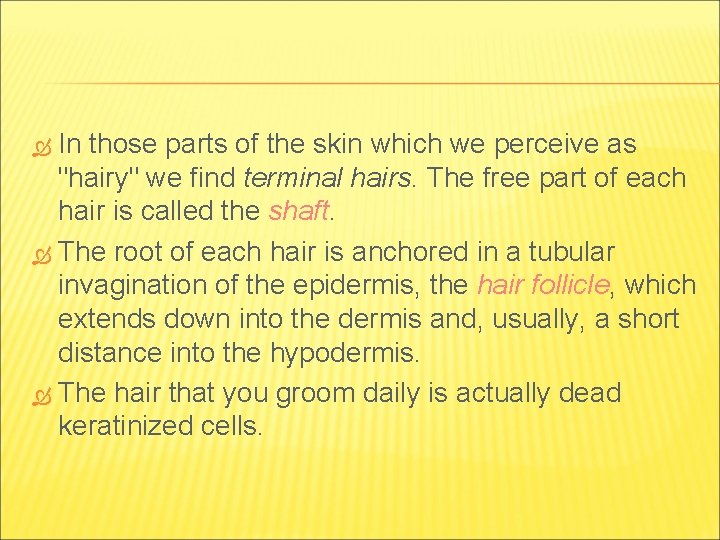 In those parts of the skin which we perceive as "hairy" we find terminal In those parts of the skin which we perceive as "hairy" we find terminal