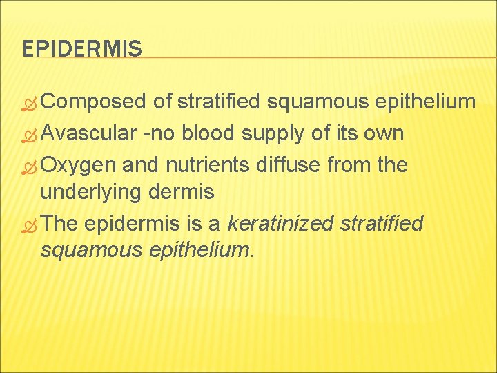 EPIDERMIS Composed of stratified squamous epithelium Avascular -no blood supply of its own Oxygen