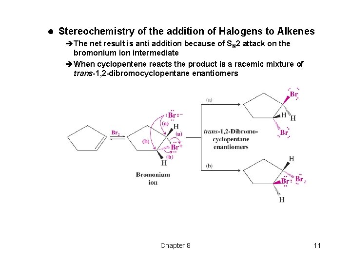 l Stereochemistry of the addition of Halogens to Alkenes èThe net result is anti l Stereochemistry of the addition of Halogens to Alkenes èThe net result is anti