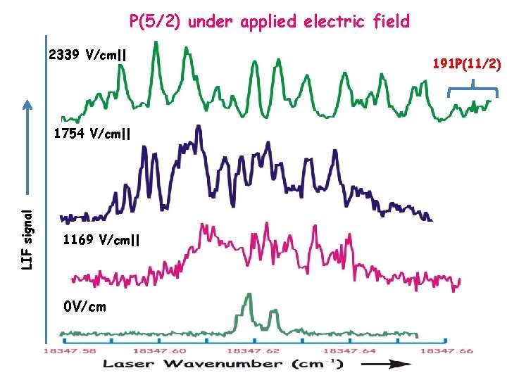 P(5/2) under applied electric field 2339 V/cm|| LIF signal 1754 V/cm|| 1169 V/cm|| 0