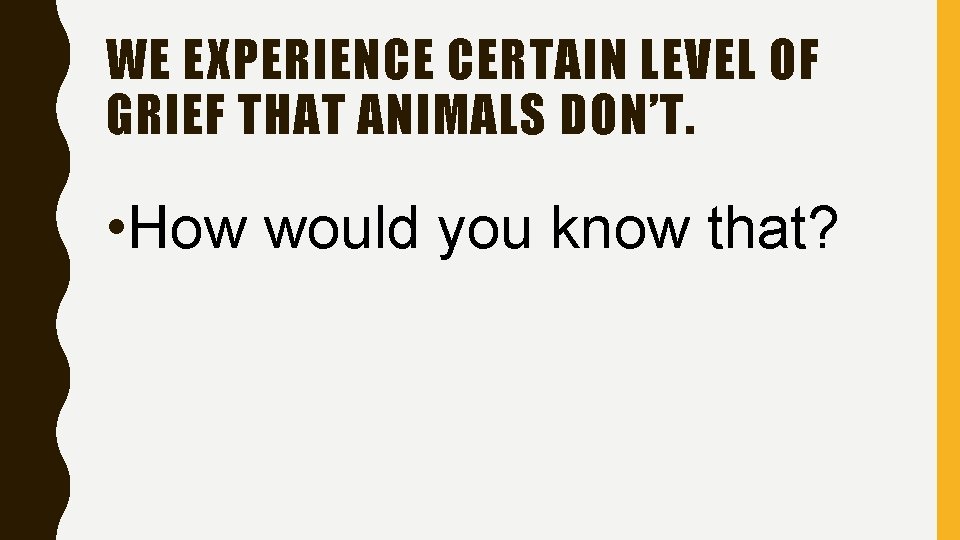 WE EXPERIENCE CERTAIN LEVEL OF GRIEF THAT ANIMALS DON’T. • How would you know